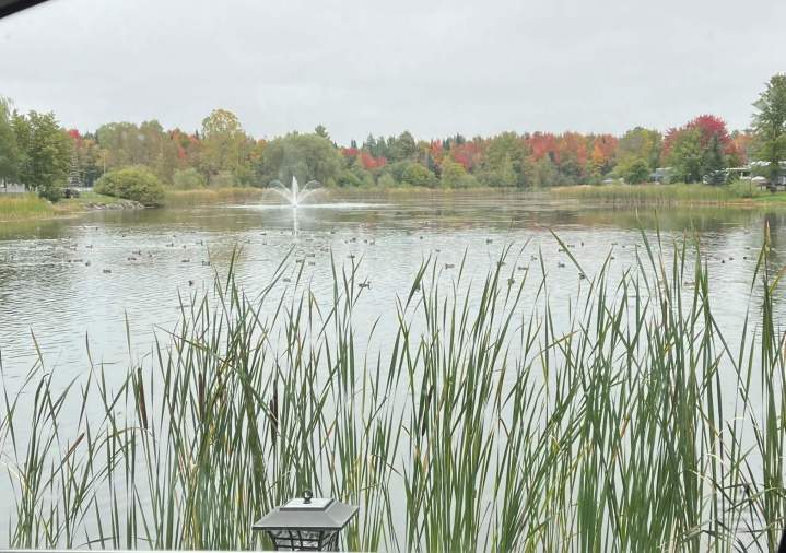 automne
